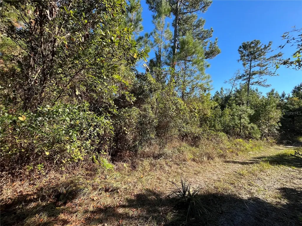 223 Mourning Dove Road Satsuma FL 32189