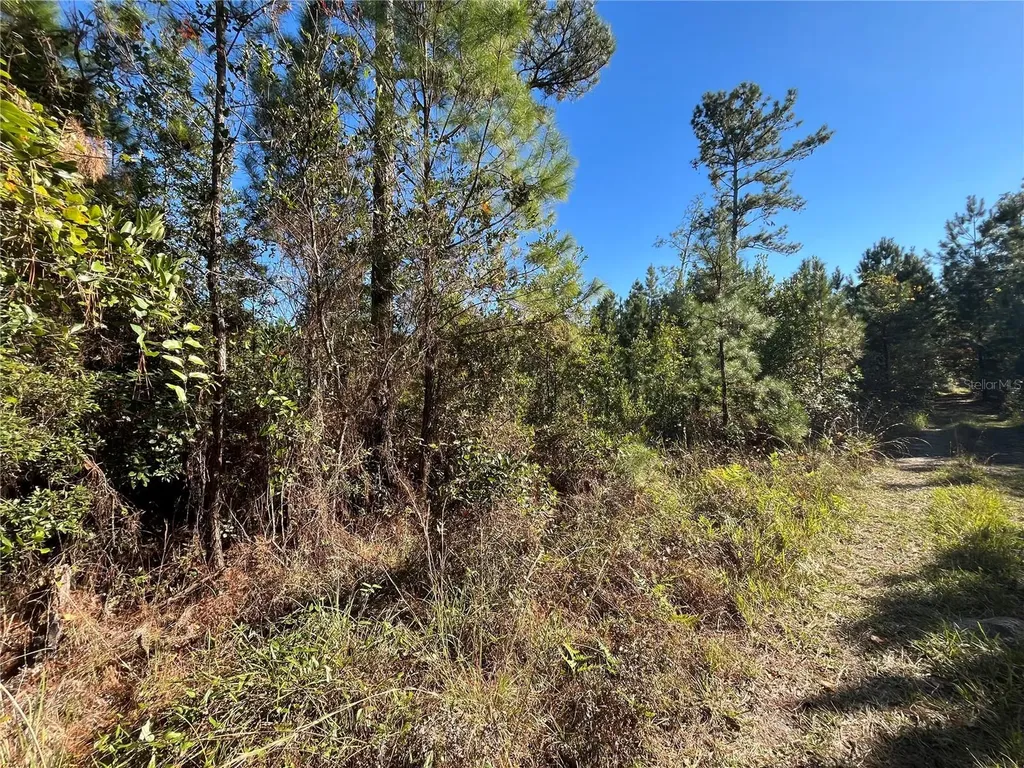 223 Mourning Dove Road Satsuma FL 32189