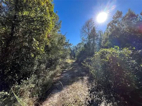 223 Mourning Dove Road Satsuma FL 32189