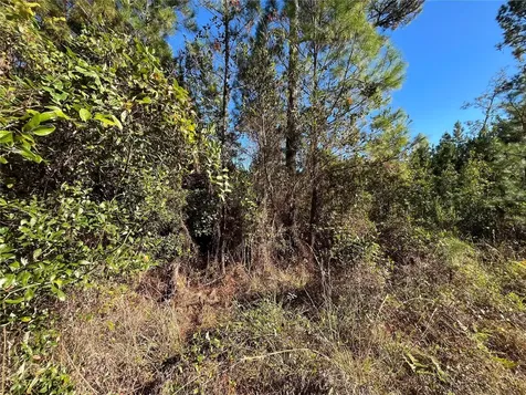 223 Mourning Dove Road Satsuma FL 32189