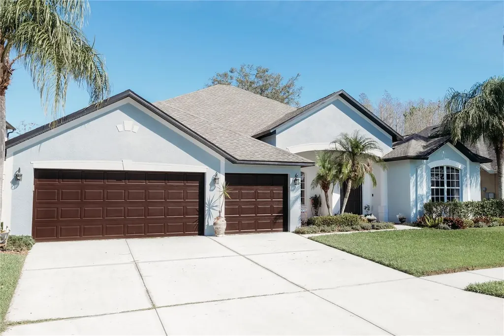 26620 Shoregrass Drive Wesley Chapel FL 33544