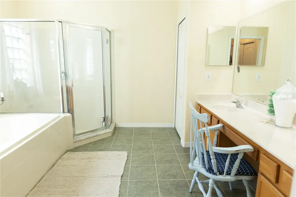 26620 Shoregrass Drive Wesley Chapel FL 33544