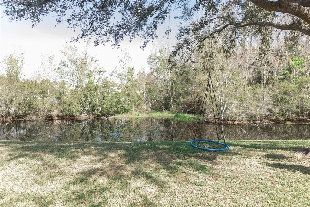 26620 Shoregrass Drive Wesley Chapel FL 33544