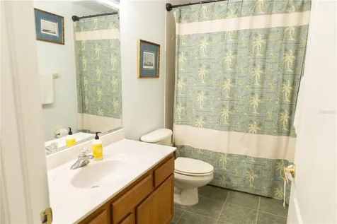 26620 Shoregrass Drive Wesley Chapel FL 33544
