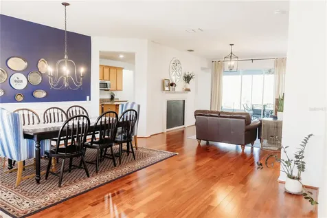 26620 Shoregrass Drive Wesley Chapel FL 33544