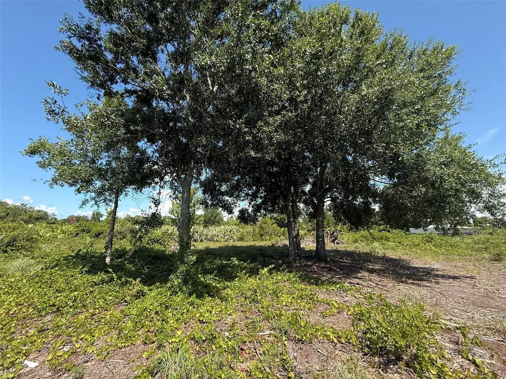 15789 NW 254th Street Okeechobee FL 34972