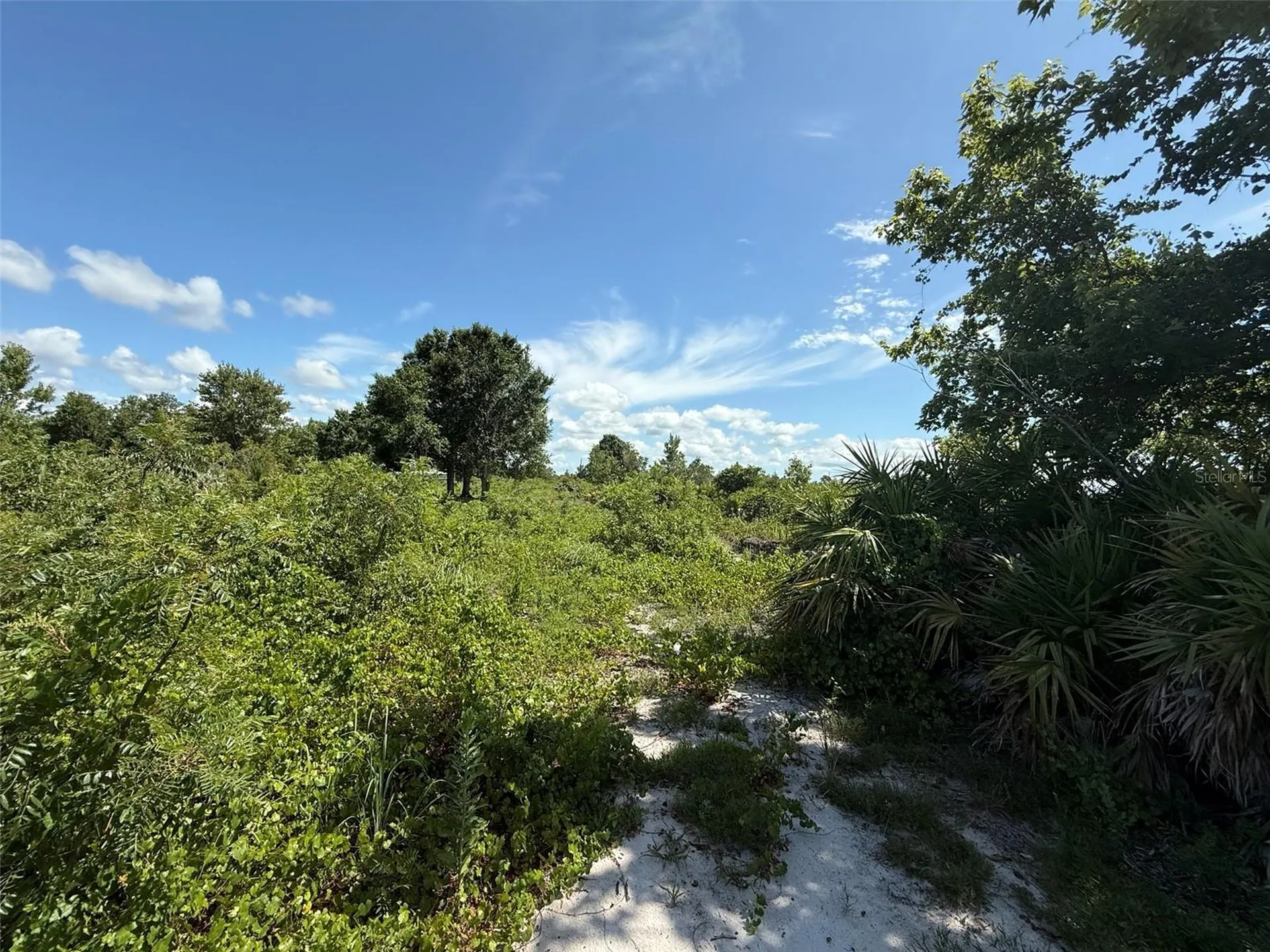 15789 NW 254th Street Okeechobee FL 34972
