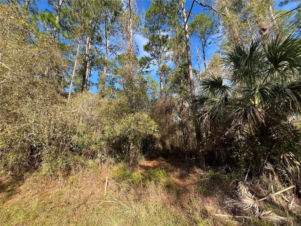 104 SE 5th Street Georgetown FL 32139