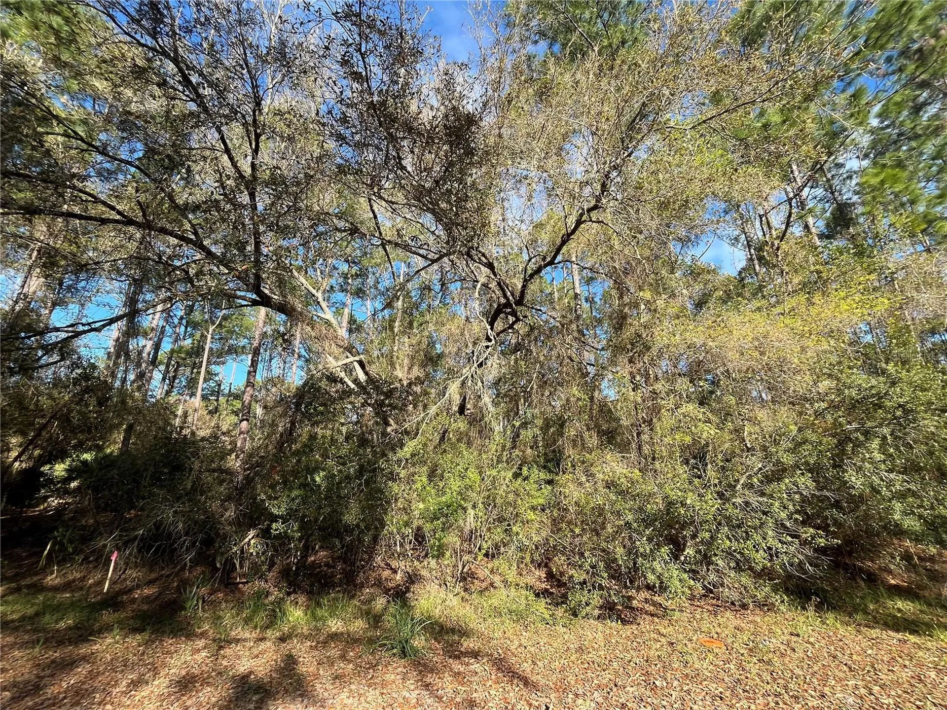 104 SE 5th Street Georgetown FL 32139