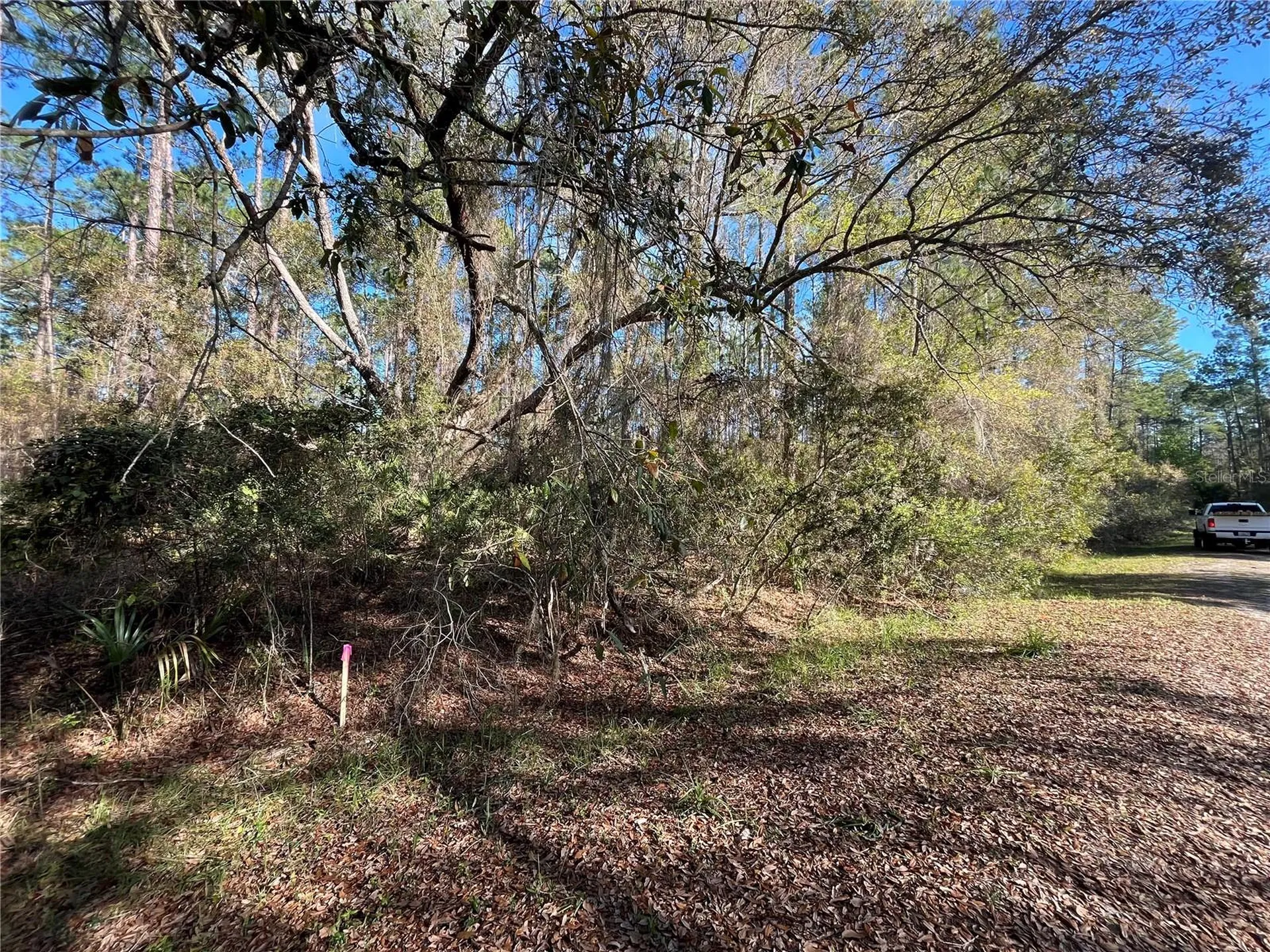104 SE 5th Street Georgetown FL 32139