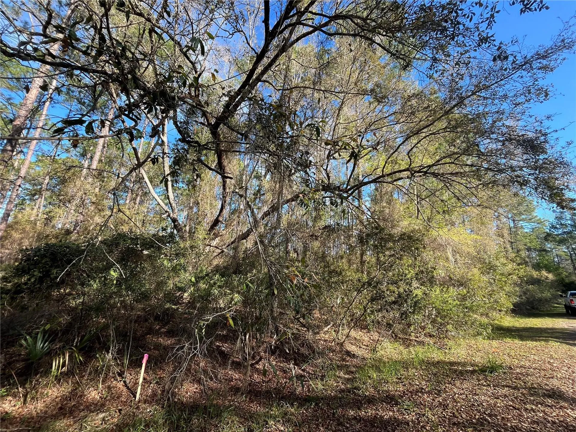 104 SE 5th Street Georgetown FL 32139