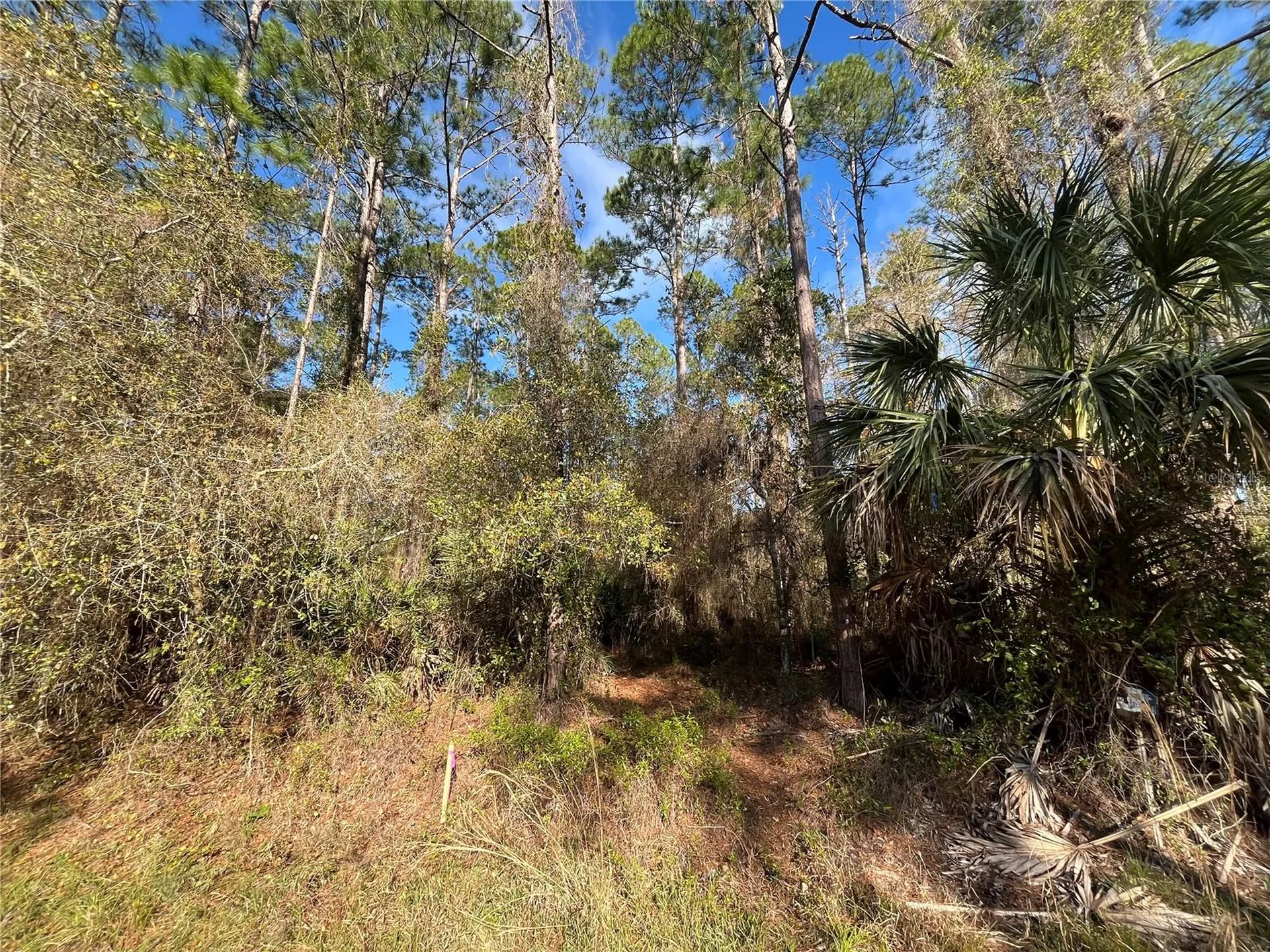 104 SE 5th Street Georgetown FL 32139