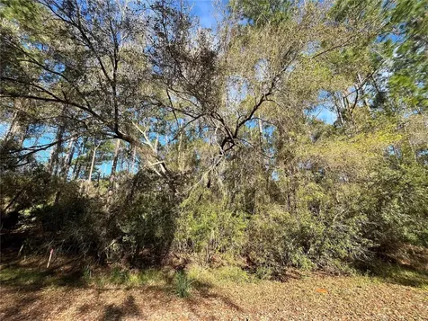 104 SE 5th Street Georgetown FL 32139