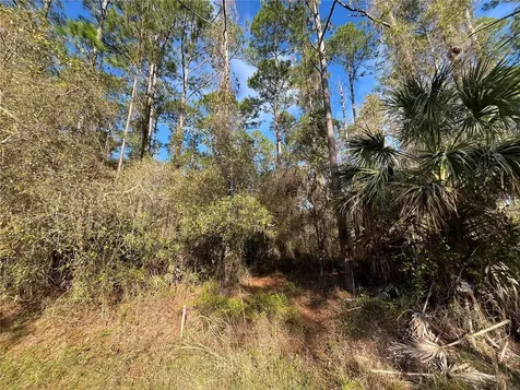 104 SE 5th Street Georgetown FL 32139