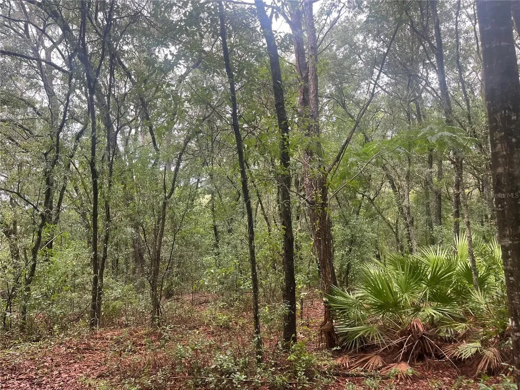 Tbd Delaware Avenue Interlachen FL 32148