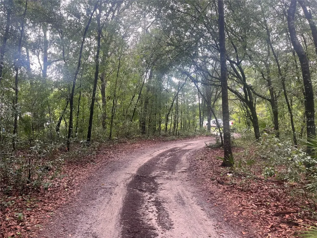 Tbd Delaware Avenue Interlachen FL 32148