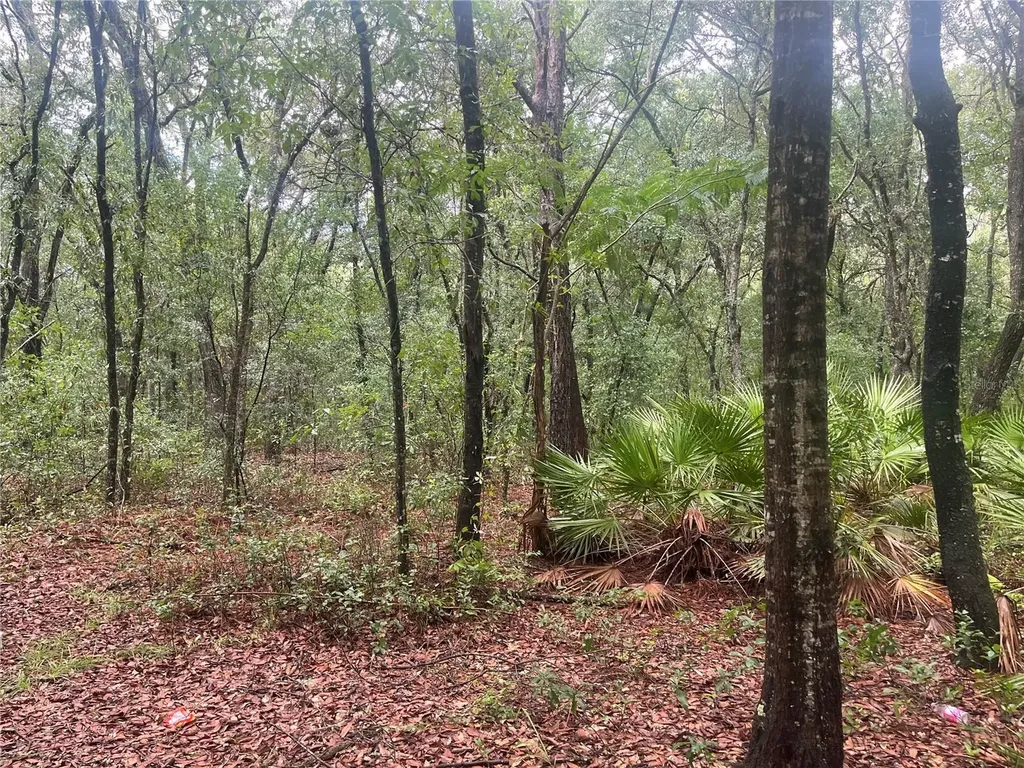 Tbd Delaware Avenue Interlachen FL 32148
