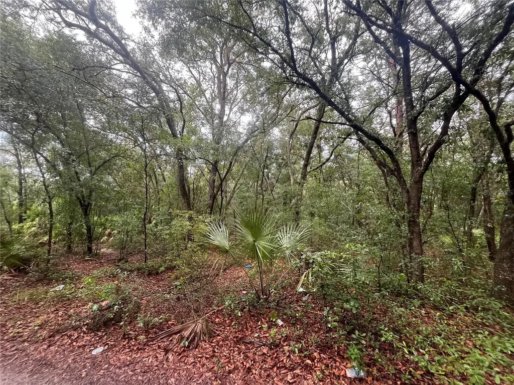 Tbd Delaware Avenue Interlachen FL 32148