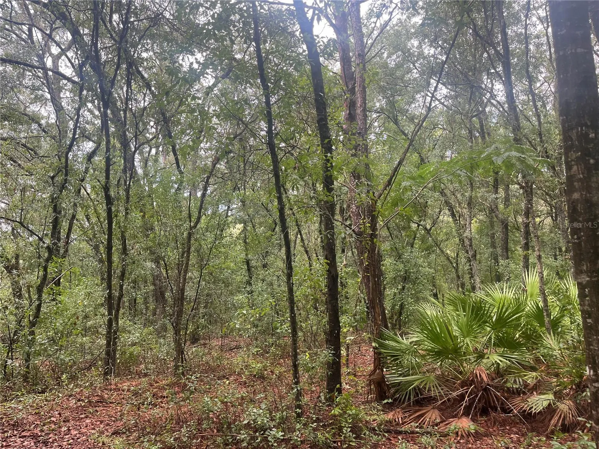Tbd Delaware Avenue Interlachen FL 32148