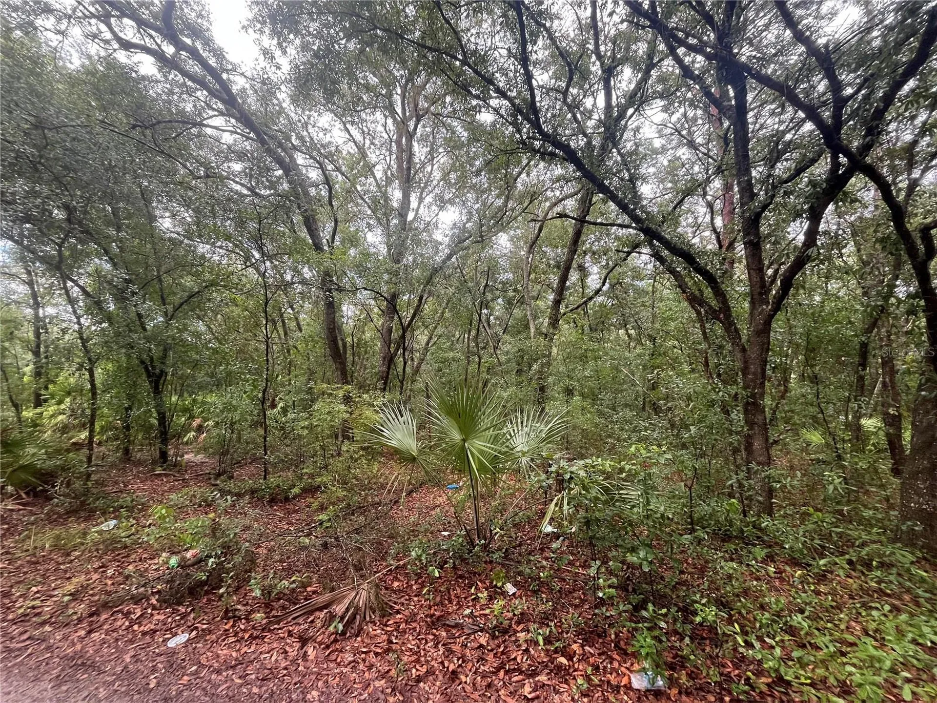 Tbd Delaware Avenue Interlachen FL 32148