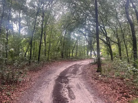 Tbd Delaware Avenue Interlachen FL 32148