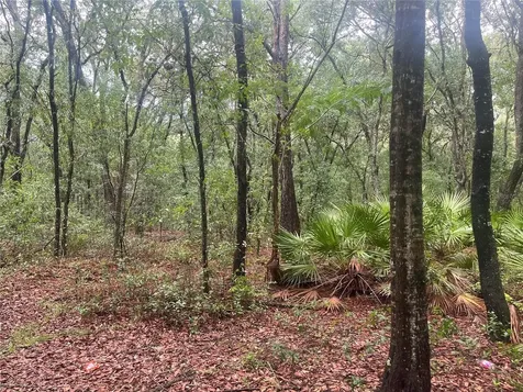 Tbd Delaware Avenue Interlachen FL 32148