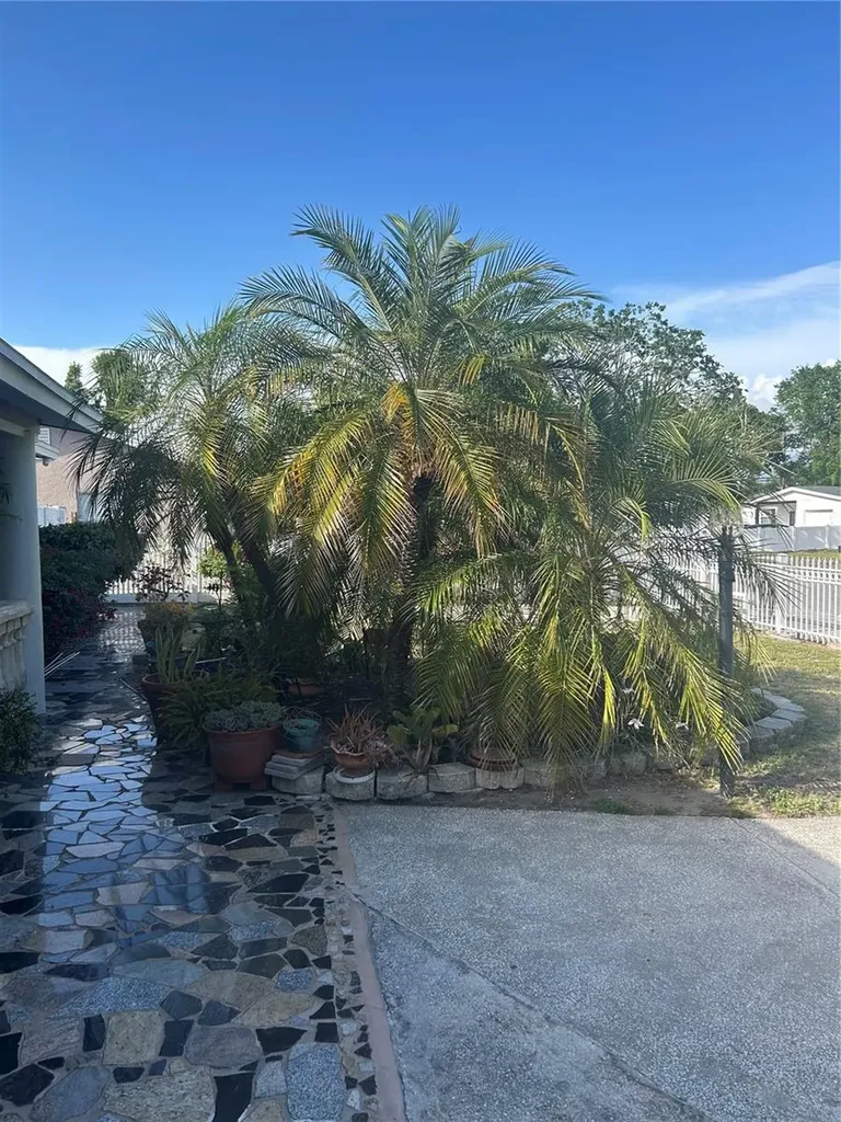 5106 Gateway Drive Tampa FL 33615