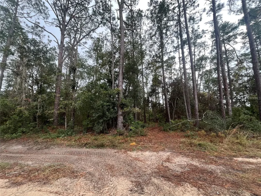 Susan Street Interlachen FL 32148