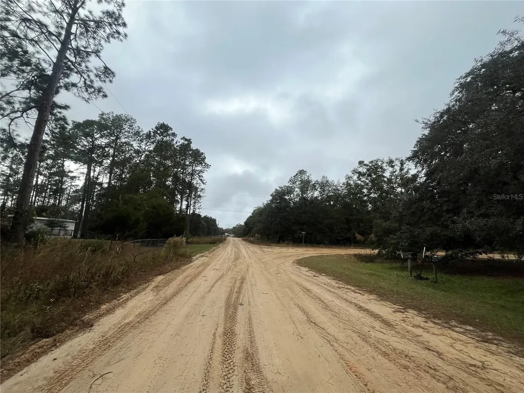 Susan Street Interlachen FL 32148