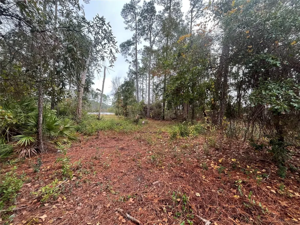 Susan Street Interlachen FL 32148