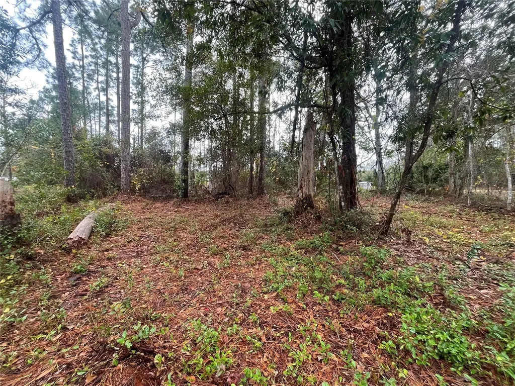 Susan Street Interlachen FL 32148