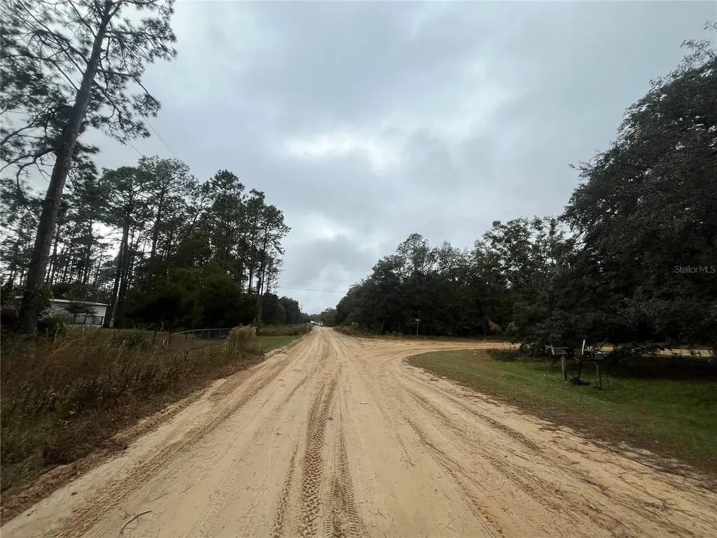 Susan Street Interlachen FL 32148