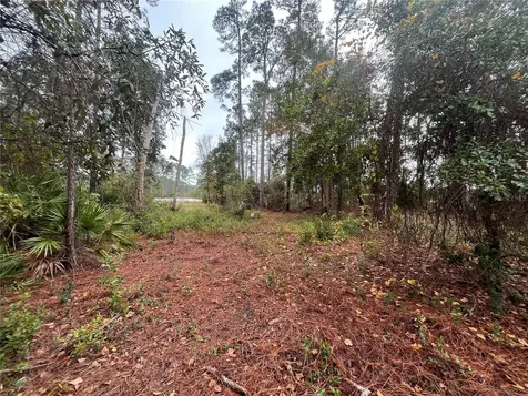 Susan Street Interlachen FL 32148