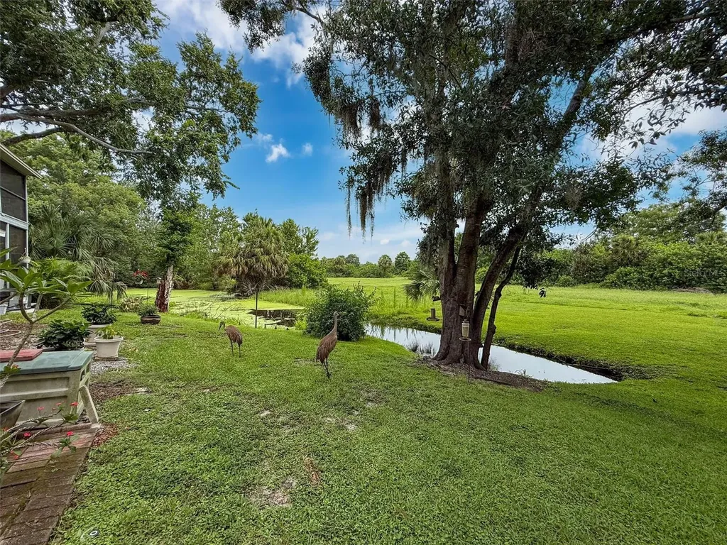 7135 Trenton Place New Port Richey FL 34653