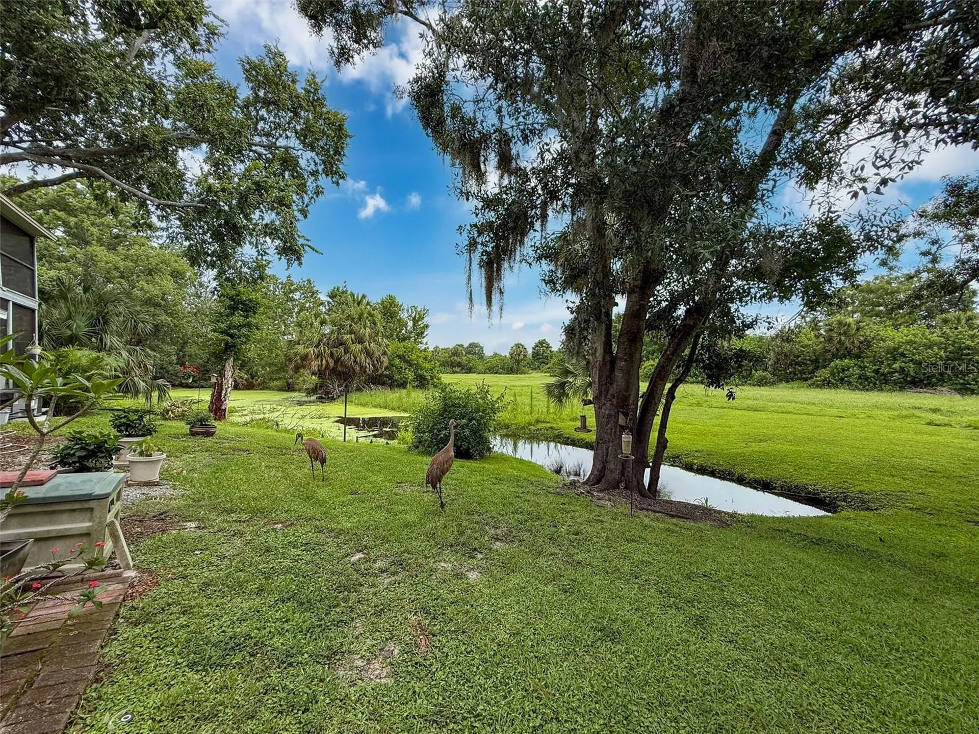 7135 Trenton Place New Port Richey FL 34653