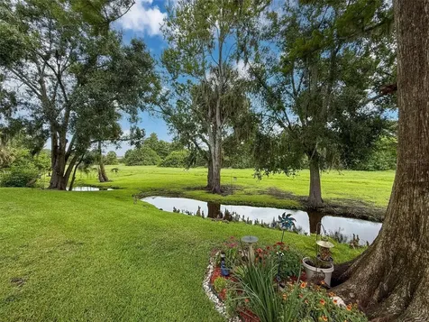 7135 Trenton Place New Port Richey FL 34653