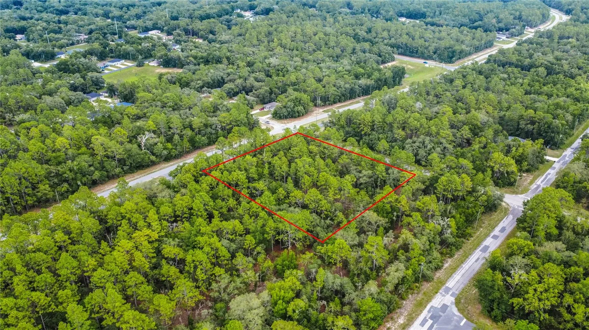 1287 W Evergreen Drive Citrus Springs FL 34434