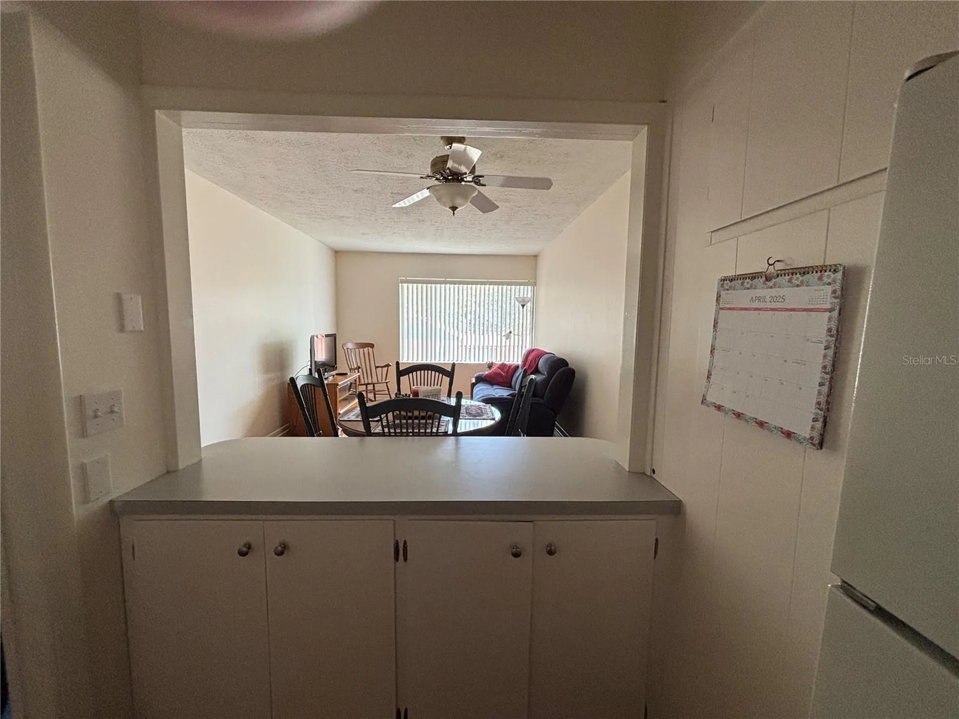 223 Windsor Street Lakeland FL 33803