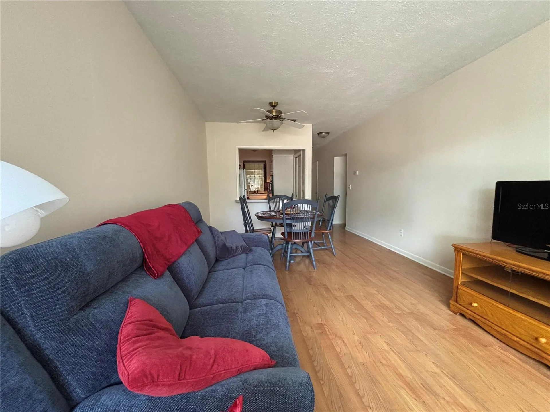 223 Windsor Street Lakeland FL 33803