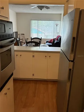 223 Windsor Street Lakeland FL 33803