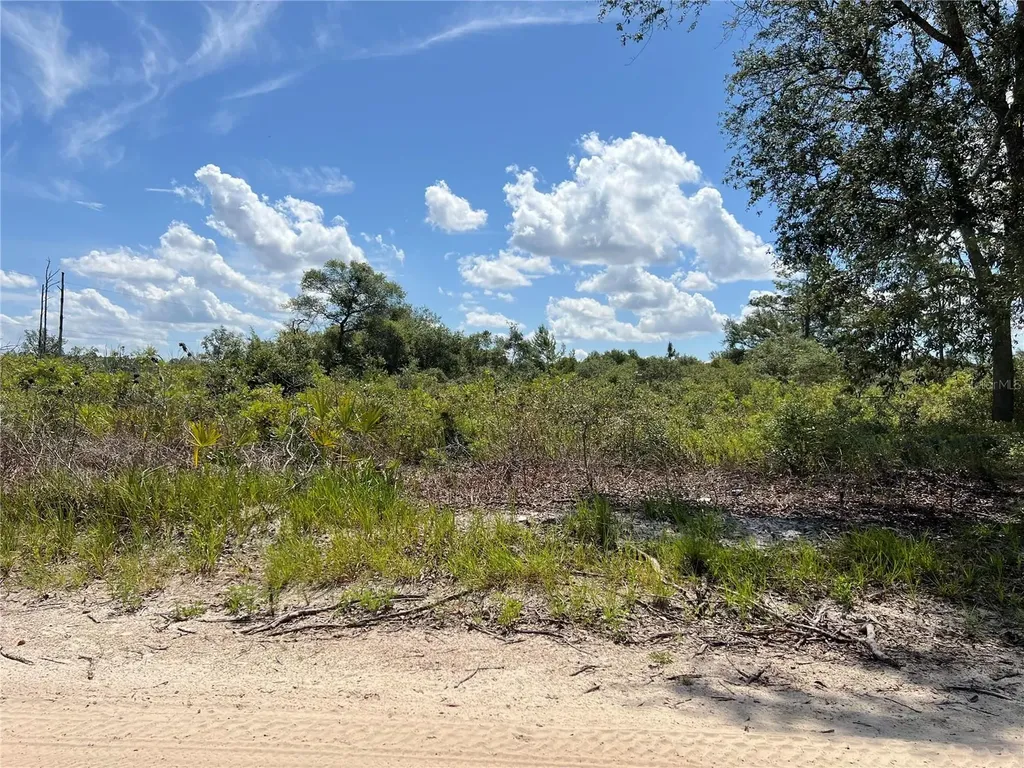 0 SW 157 Lane Dunnellon FL 34432