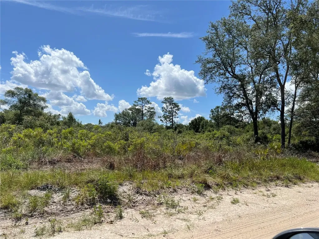 0 SW 157 Lane Dunnellon FL 34432