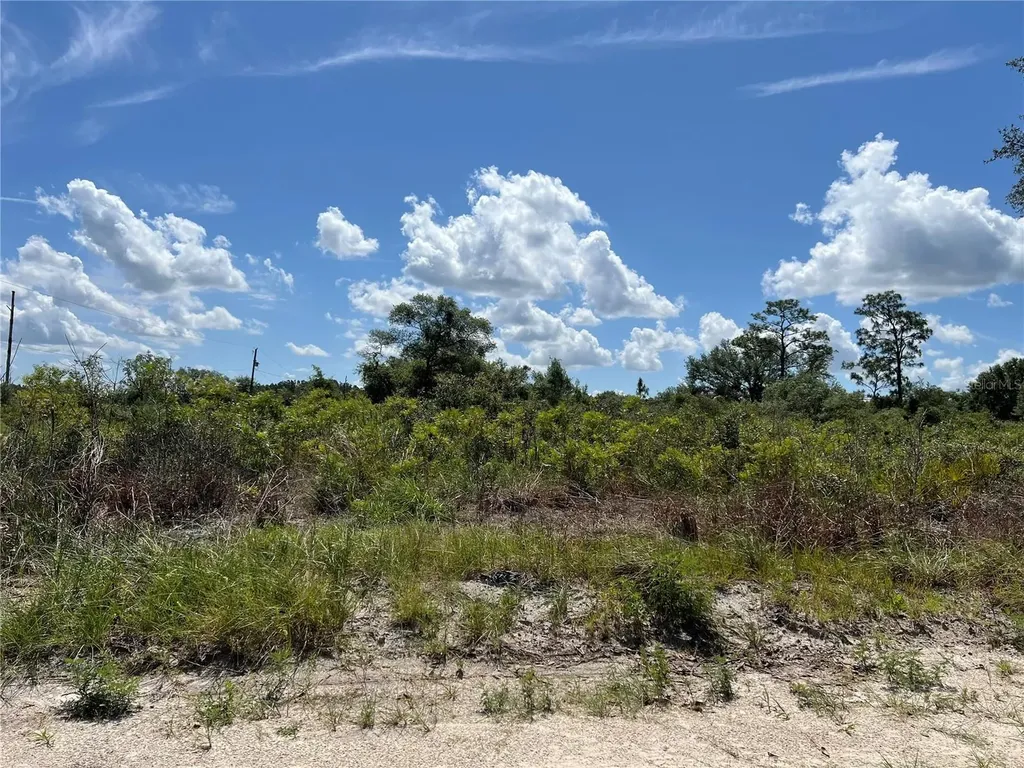 0 SW 157 Lane Dunnellon FL 34432