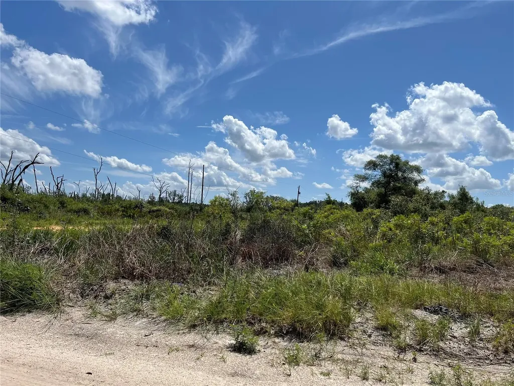 0 SW 157 Lane Dunnellon FL 34432