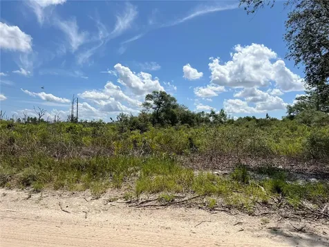 0 SW 157 Lane Dunnellon FL 34432
