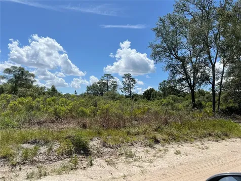 0 SW 157 Lane Dunnellon FL 34432