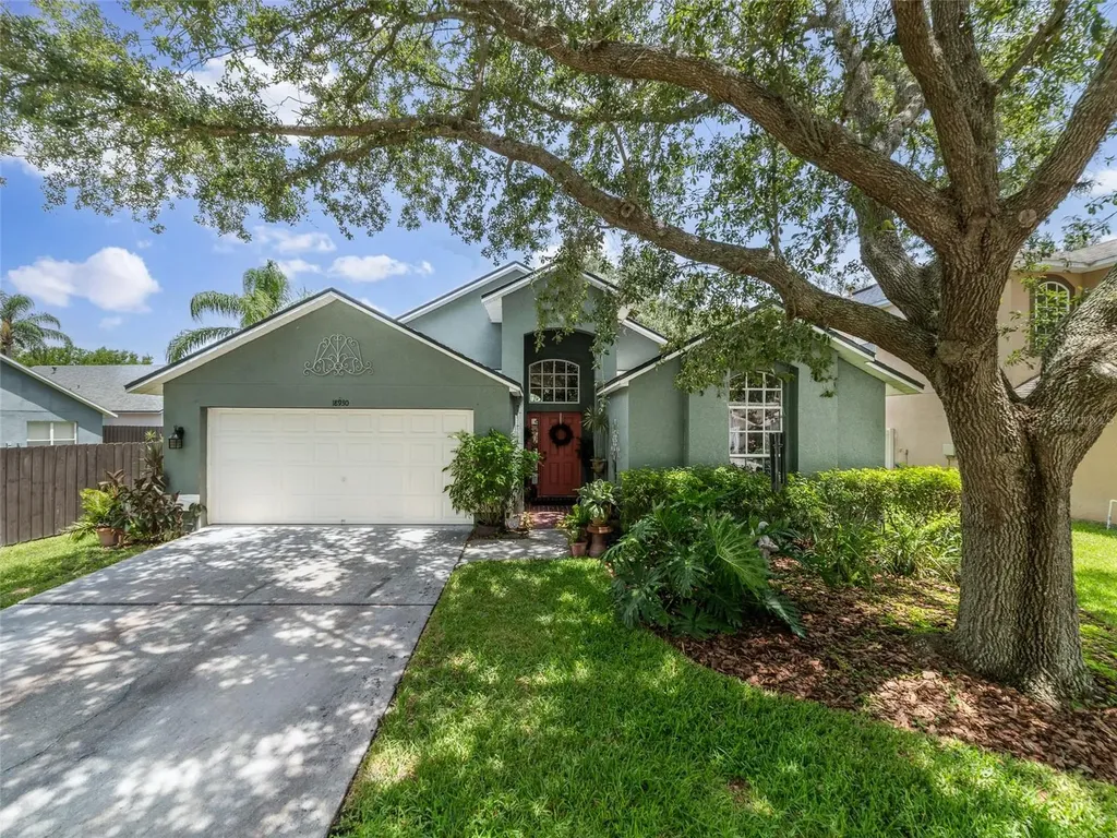 18930 Wood Sage Drive Tampa FL 33647