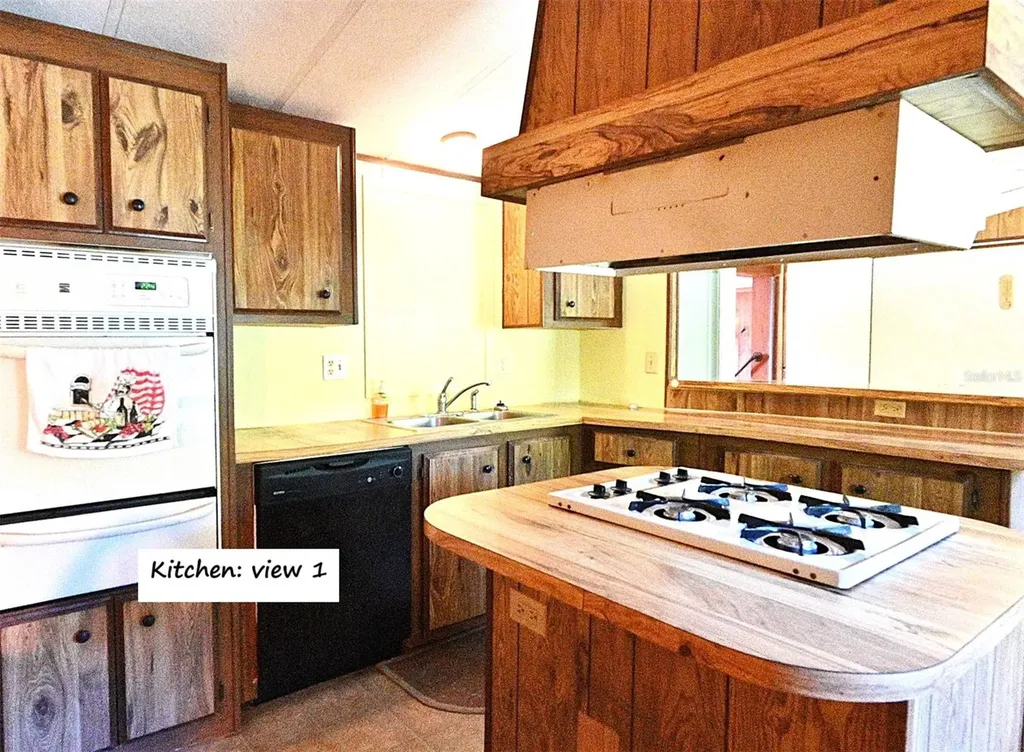 438 SW Dortch Street Fort White FL 32038