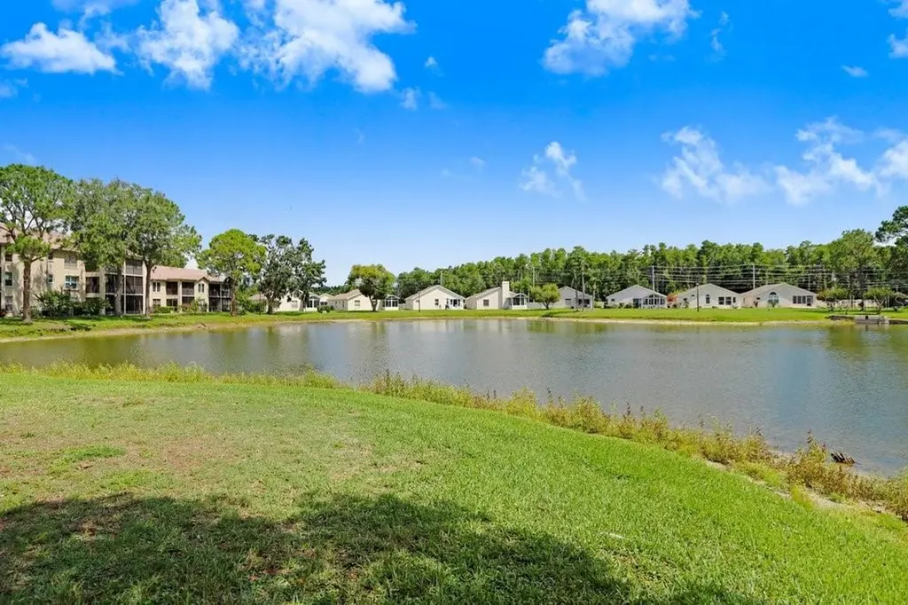4407 Whitton Way New Port Richey FL 34653