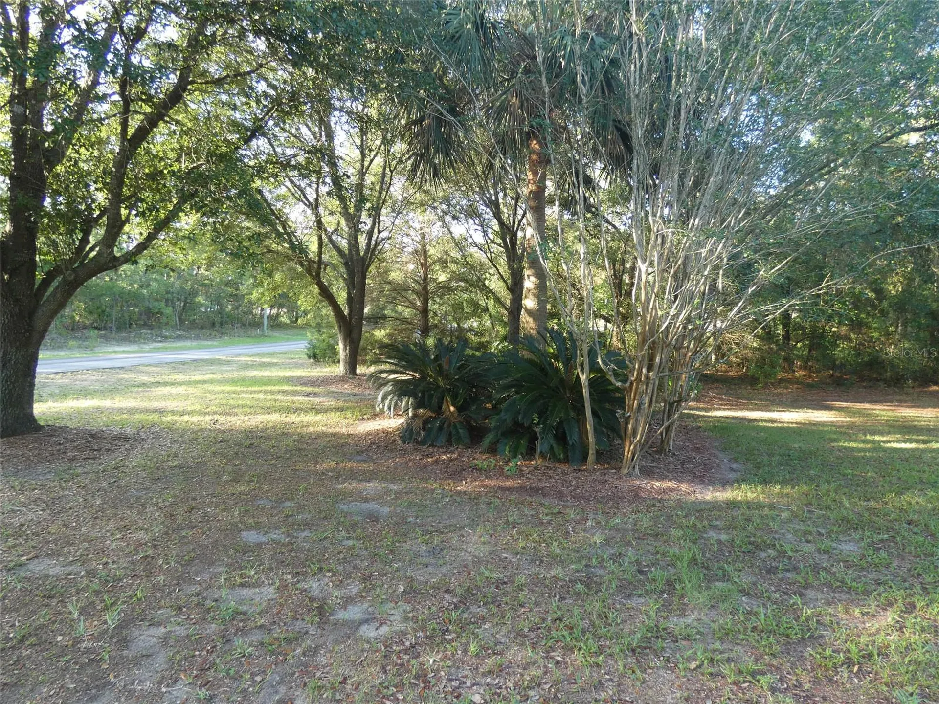 4622 N Pink Poppy Drive Beverly Hills FL 34465